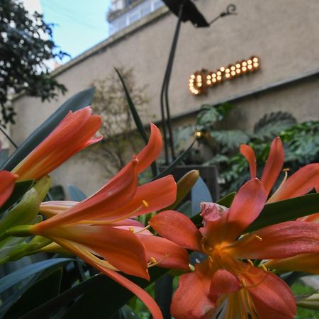 Casa Franca Recoleta Hostel Boutique 布宜诺斯艾利斯 外观 照片
