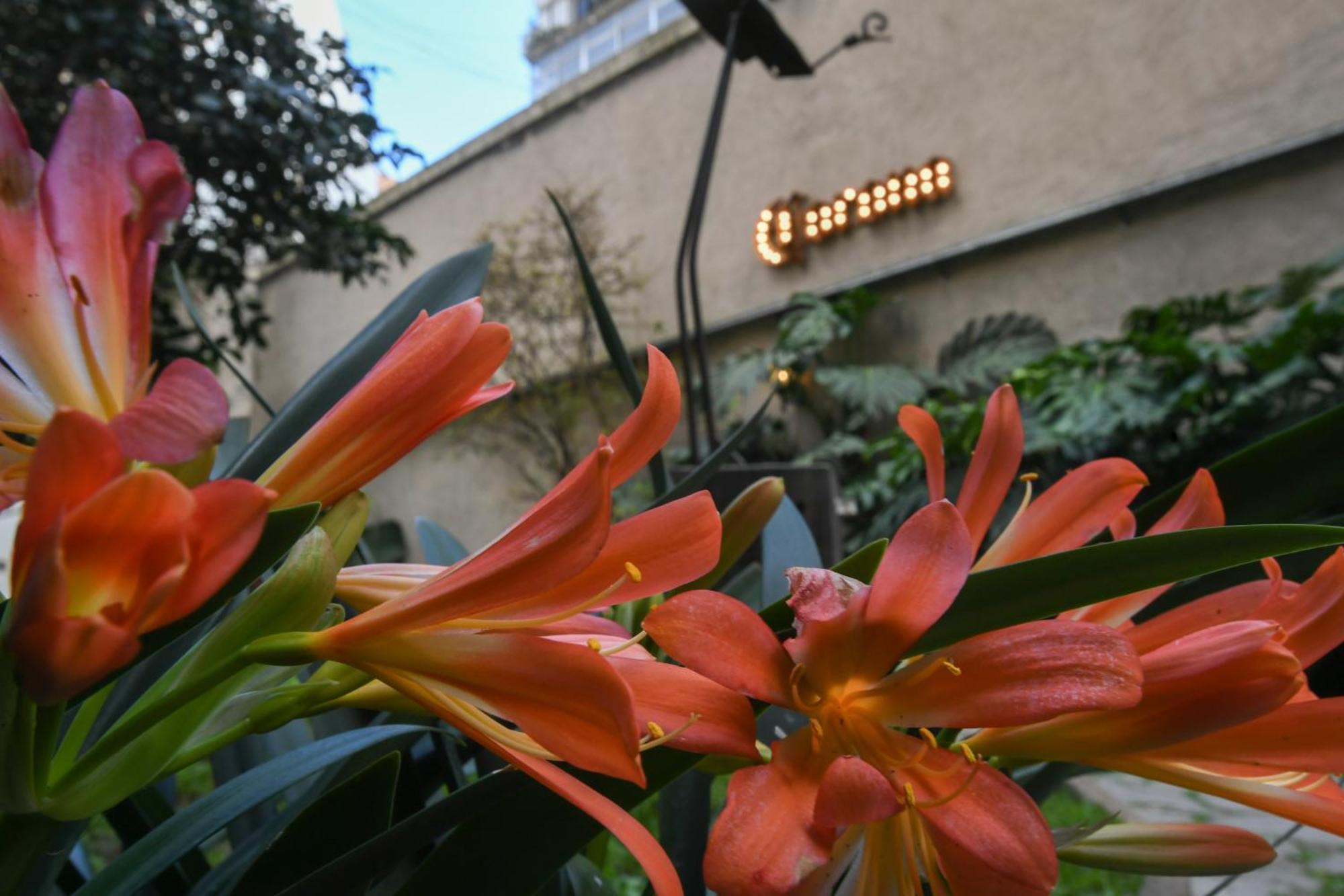 Casa Franca Recoleta Hostel Boutique 布宜诺斯艾利斯 外观 照片